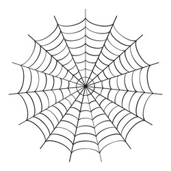 spider web icon isolated cobweb background vector image