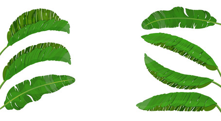 Tropical Green Leaves Vector Image