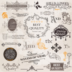 Calligraphic design elements vintage set Vector Image
