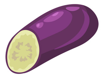 Aubergine plant eggplant cut for cooking vector