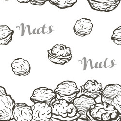 Hand Drawn Sketch Nuts Background vector image