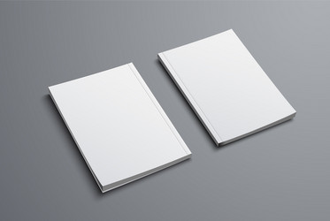 realistic mockup of two brochures with front vector image