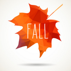 fall triangular maple leaf vector image