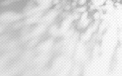 abstract shadow overlay from tree branch vector image