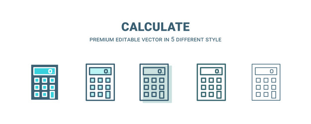calculate icon in 5 different style outline vector image