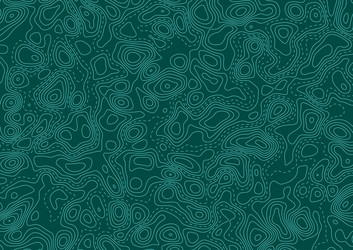 abstract background with a topographic map design vector image