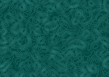 abstract background with a topographic map design vector