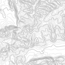 topographic map background with space for copy vector image