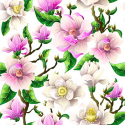 delicate seamless pattern with magnolia flowers Vector Image