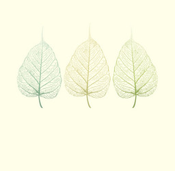 Fresh green leaves background Royalty Free Vector Image