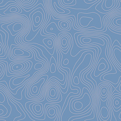 abstract topographic map background vector image