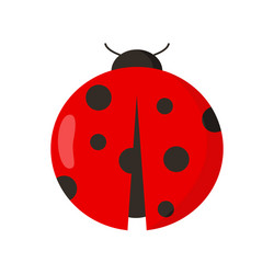 lady bug on white background for graphic and web vector