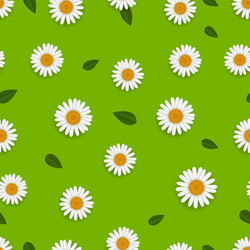 Spring Camomile Pattern vector image