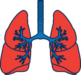 Human lungs anatomy medical science internal organ vector