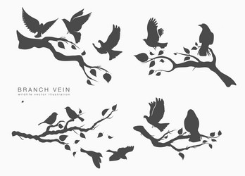 Flying Birds on Branch Vector Image