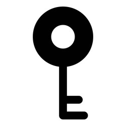electronic programmable smart key in cyberspace vector image