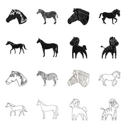 isolated object trot and running symbol set vector image