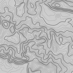 topographic map background with space for copy vector image