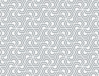geometric seamless pattern with hexagon shape vector image
