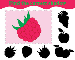 Raspberry Shadow Matching Game vector image