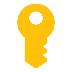 Cyberspace smart key with electronic coding vector