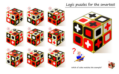 Logical puzzle game for children and adults which vector