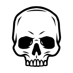Vintage Monochrome Skull Vector Image
