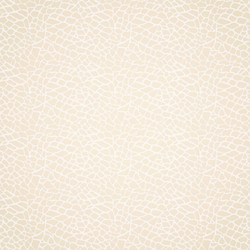 Cracked Leather Texture Vector Image