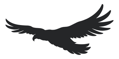 eagle soaring with wings spread wide Vector Image