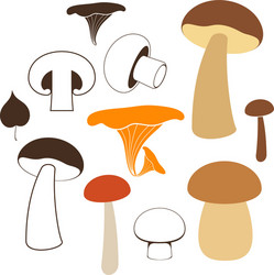 mushrooms vector