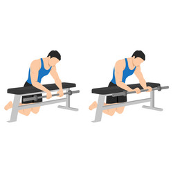 man doing barbell reverse wrist curl on a bench vector image