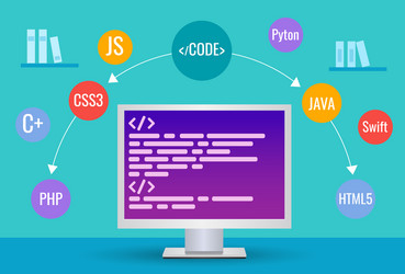 Coding Languages & Software Development vector image