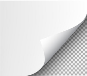 page curl with shadow on blank sheet paper vector image