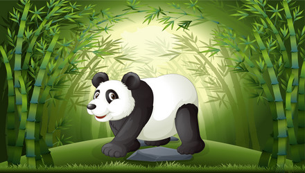A panda in the bamboo forest Royalty Free Vector Image