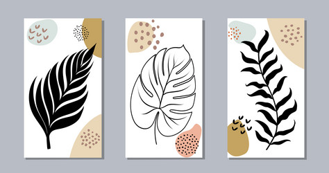 set of botanical art lines on abstract backgrounds vector image