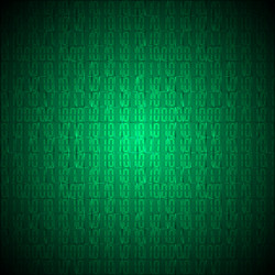 Binary computer code vector