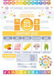 Vitamin B3 Rich Food Icons Vector Image