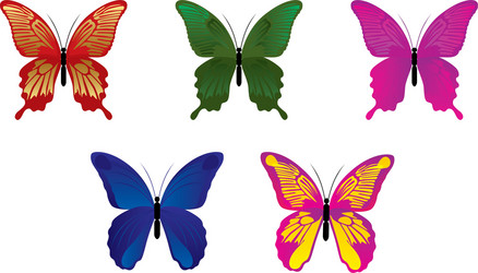 Hand drawn butterflies set cute insects Royalty Free Vector
