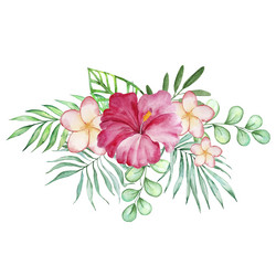 watercolor tropical bouquet of hibiscus leaves Vector Image
