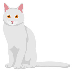 sad cartoon cat white kitten cute pet vector