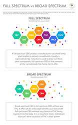 Full Spectrum vs. Broad Spectrum CBD vector image