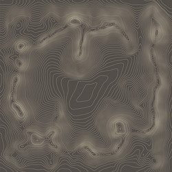 topographic map background concept with space vector image