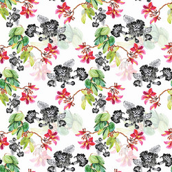 seamless pattern with beautiful flowers Vector Image