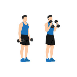 man doing standing dumbbell bicep hammer curls vector image
