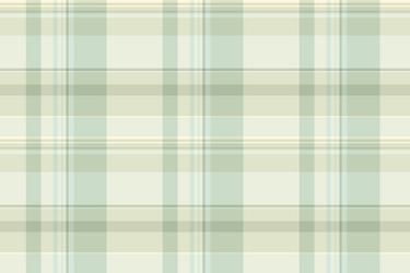 decorative check tartan textile mosaic pattern vector image