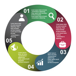 5 steps element in five colors with labels vector image
