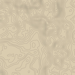 Topographic map background concept with space vector