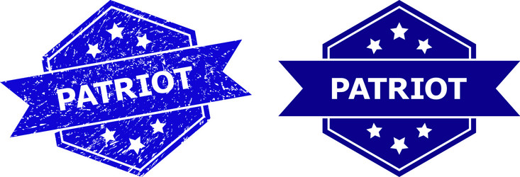 hexagonal patriot seal with rubber surface vector