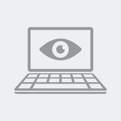 Cybersecurity Privacy Icon vector