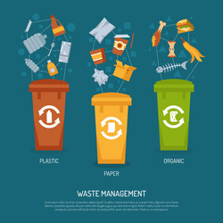 garbage sorting vector image
